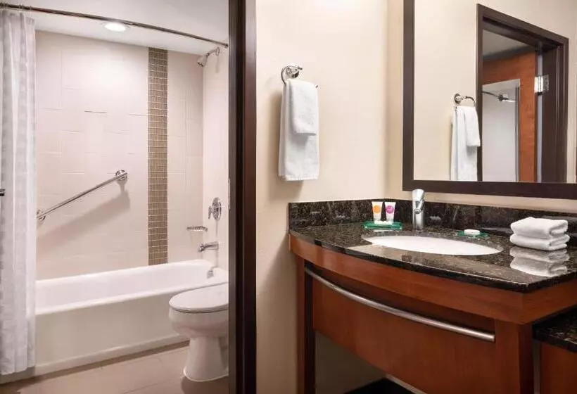 キングサイズベッドのスタンダードルーム, Hyatt Place Denver Tech Center