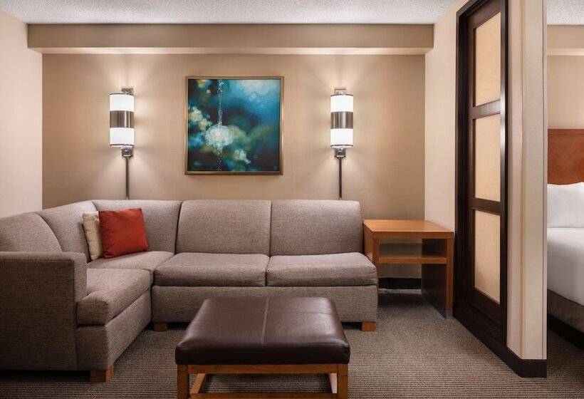 带2个双人床的标准工作室, Hyatt Place Denver Tech Center