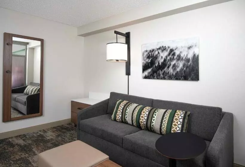 上層階スタンダードルーム, Hyatt Place Denver Tech Center