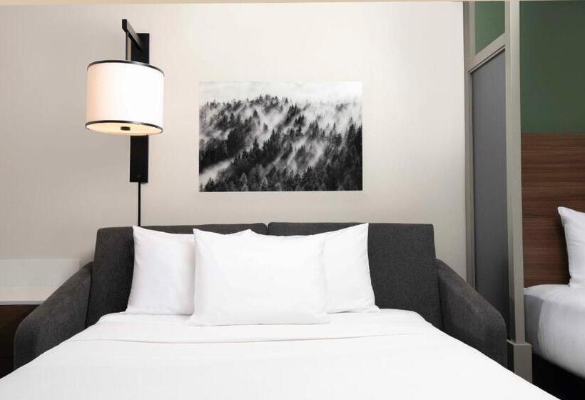 חדר סטנדרט עם מיטת קינג, Hyatt Place Denver Tech Center