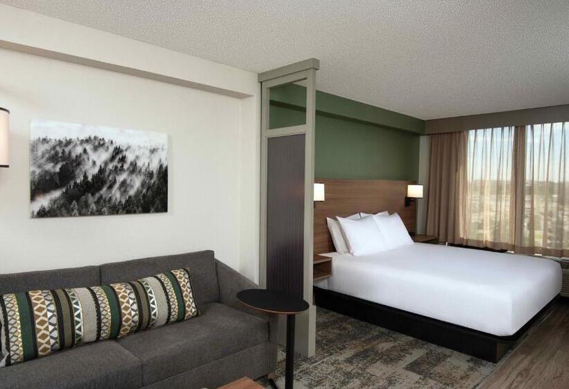 带大床的标准间, Hyatt Place Denver Tech Center