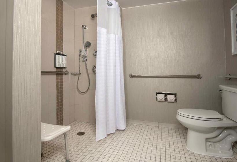 חדר סטנדרט, מיטת קינג, מותאם לאדם עם מוגבלויות, Hyatt Place Denver Tech Center