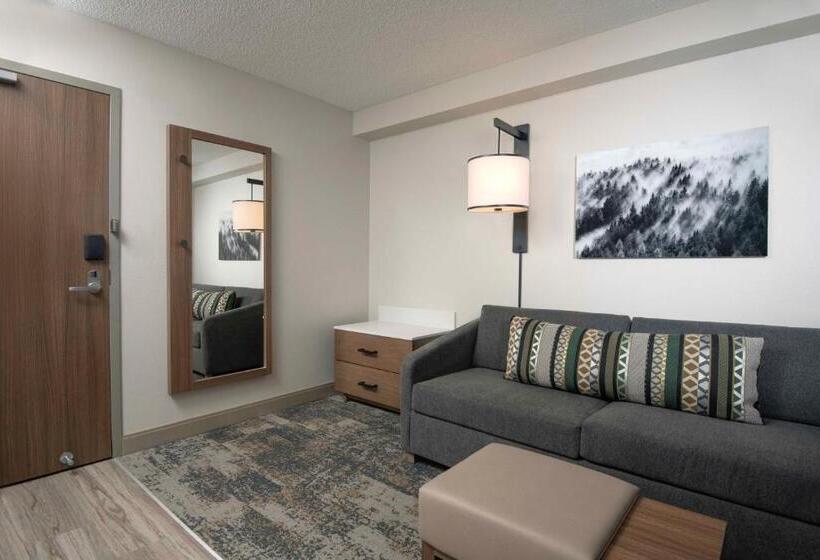 חדר סטנדרט, מיטת קינג, מותאם לאדם עם מוגבלויות, Hyatt Place Denver Tech Center