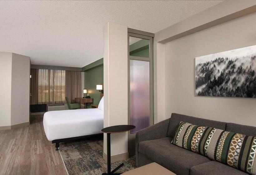 חדר סטנדרט, מיטת קינג, מותאם לאדם עם מוגבלויות, Hyatt Place Denver Tech Center