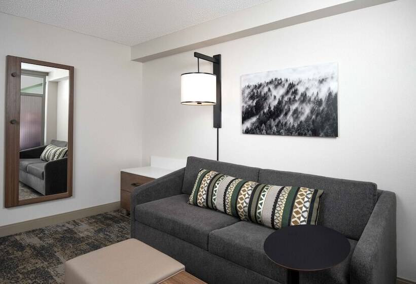 带2个双人床的标准工作室, Hyatt Place Denver Tech Center