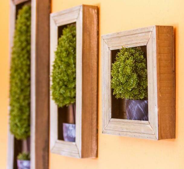 스탠다드 룸, Mountain View Lodge