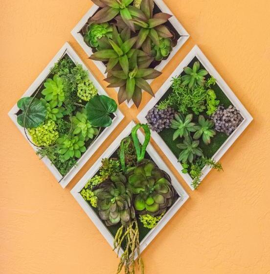 스탠다드 룸, Mountain View Lodge