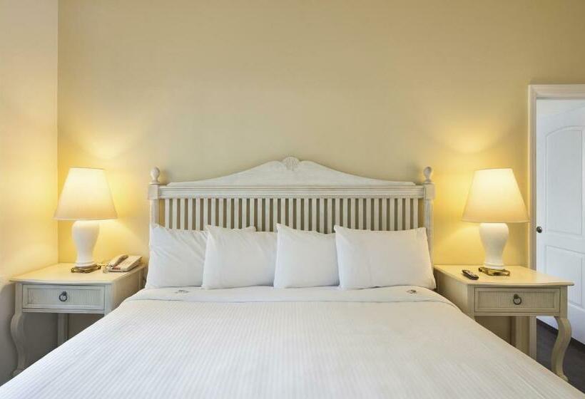 חדר סטנדרט, Southernmost Inn Adult Exclusive