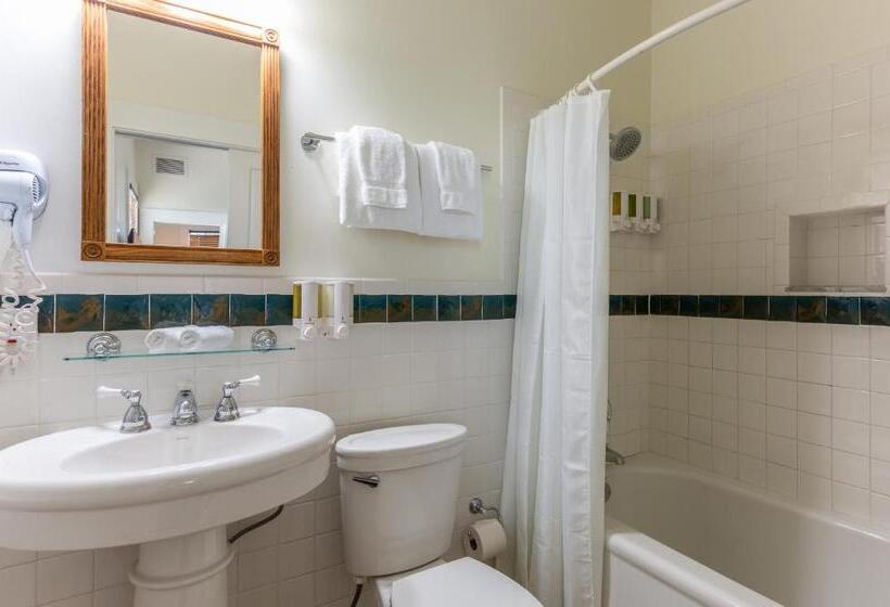 جناح سرير كينج, Southernmost Inn Adult Exclusive