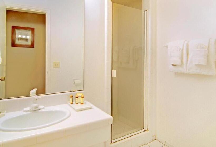 غرفة بريميوم, Svendsgaard's Inn