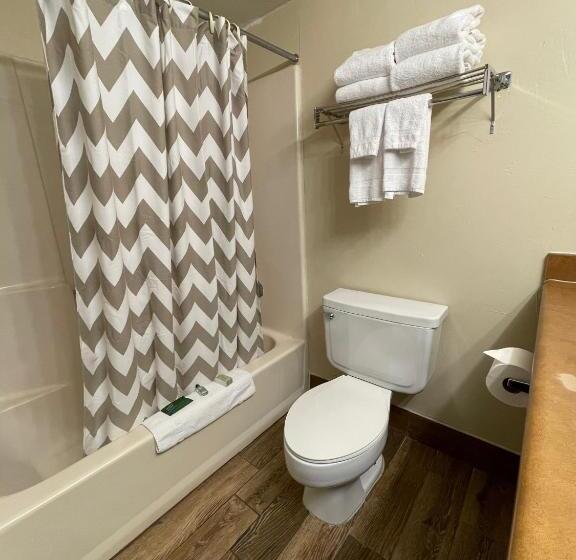 غرفة قياسية فردية سرير كينج, Abilene Whitten Inn