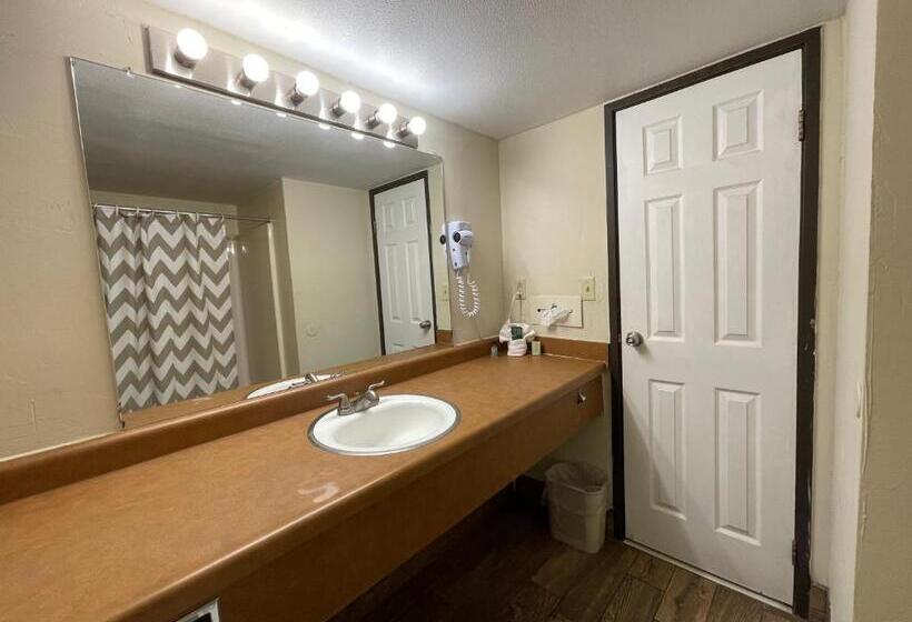 غرفة قياسية فردية سرير كينج, Abilene Whitten Inn