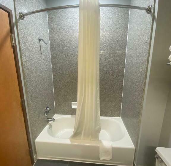 اتاق استاندارد با تخت بزرگ, Tropicana Inn And Suites