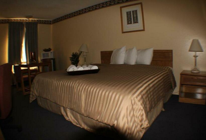 غرفة قياسية سرير كينج, Value Inn & Suites  Harlingen