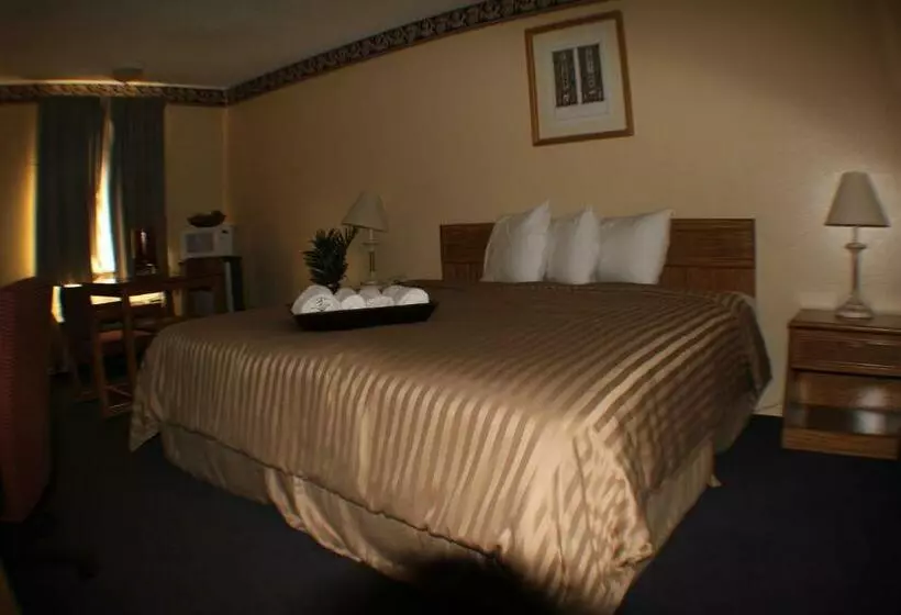 اتاق استاندارد با تخت بزرگ, Value Inn & Suites  Harlingen