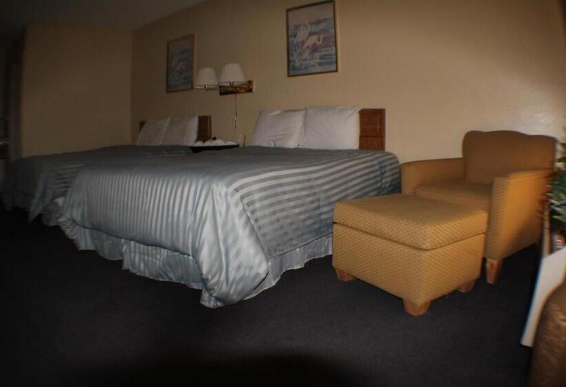 스탠다드 룸, Value Inn & Suites  Harlingen