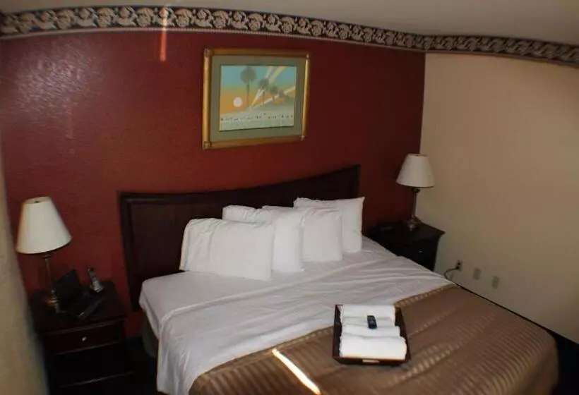 سوئیت با تخت بزرگ, Value Inn & Suites  Harlingen
