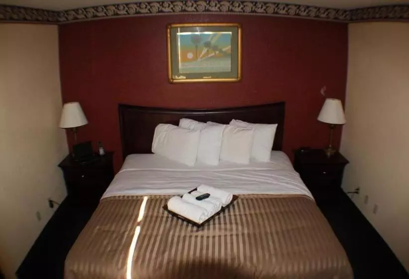 سوئیت با تخت بزرگ, Value Inn & Suites  Harlingen