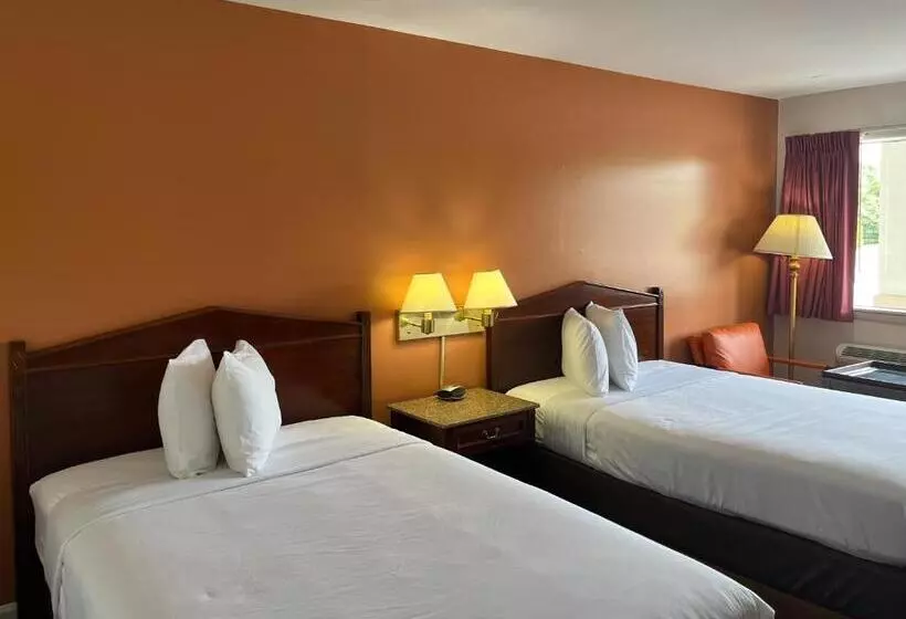 スタンダード4人部屋, Motel 6 Culpeper, Va