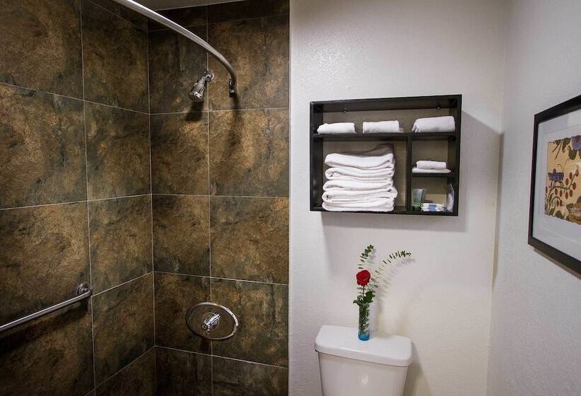 غرفه قياسيه سريرين مزدوجين, Regency Inn In Los Angeles