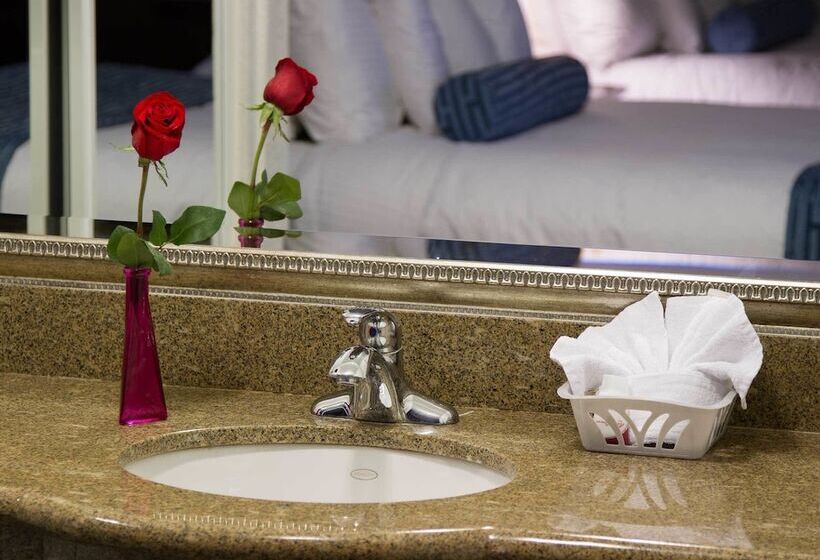 غرفه قياسيه سريرين مزدوجين, Regency Inn In Los Angeles