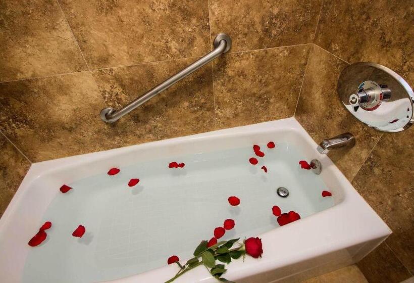 غرفة قياسية سرير كينج, Regency Inn In Los Angeles