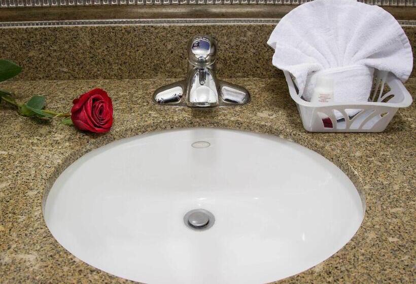 غرفة قياسية, Regency Inn In Los Angeles