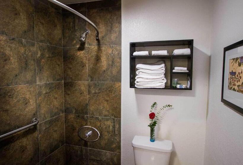 غرفه قياسيه سريرين مزدوجين, Regency Inn In Los Angeles