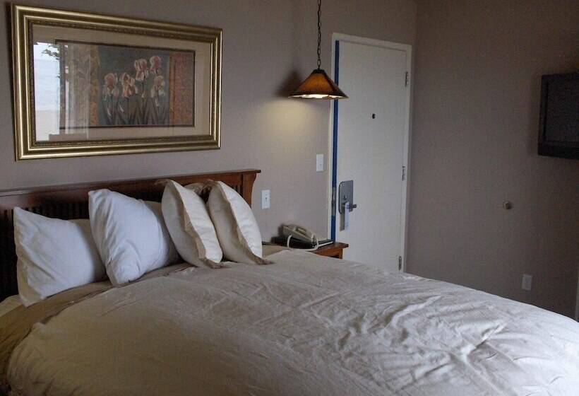 스탠다드 룸 더블 침대 2개, Surf Inn