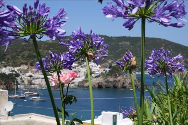 شقة غرفة واحدة, Villa Ersilia