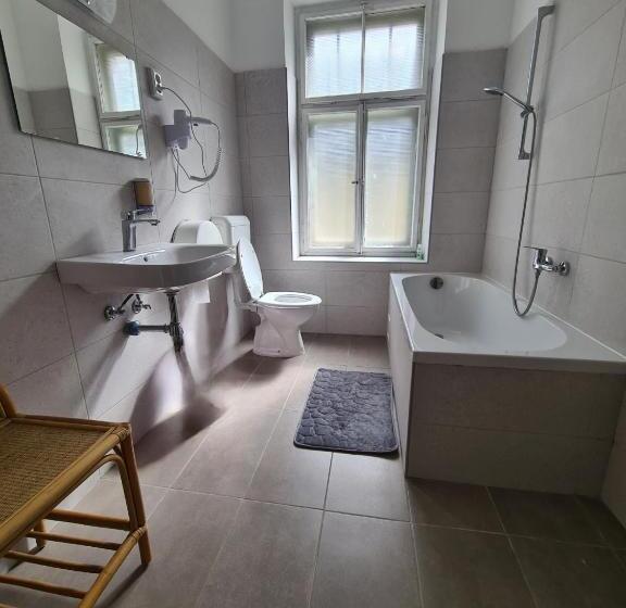 اتاق استاندارد چهارنفره با سرویس بهداشتی مشترک, Vila Gorenka