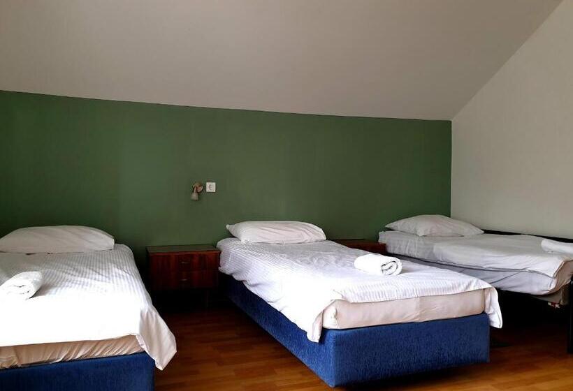 اتاق استاندارد سه تخته با سرویس بهداشتی مشترک, Vila Gorenka