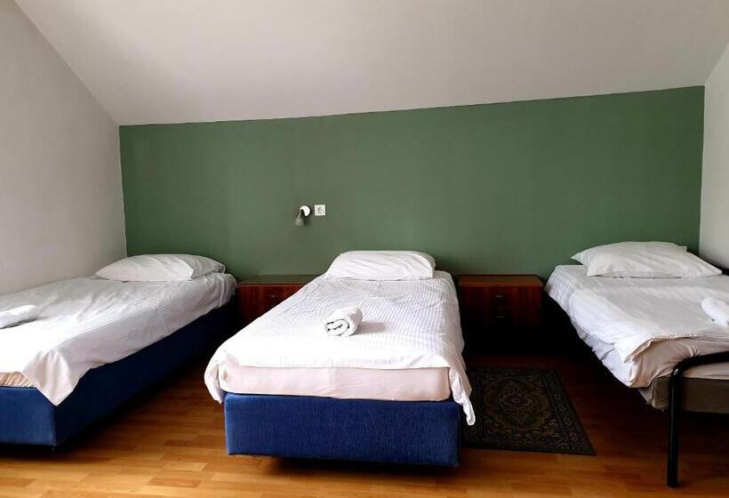 اتاق استاندارد سه تخته با سرویس بهداشتی مشترک, Vila Gorenka