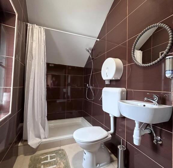 اتاق استاندارد سه تخته با سرویس بهداشتی مشترک, Vila Gorenka