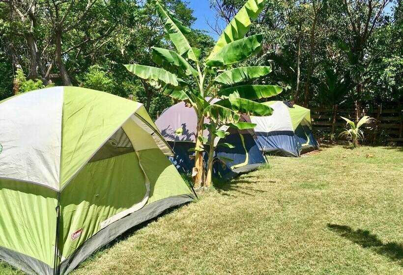 هزینۀ خدمات رفاهی بیشتر, Camp Utila Village   Hostel