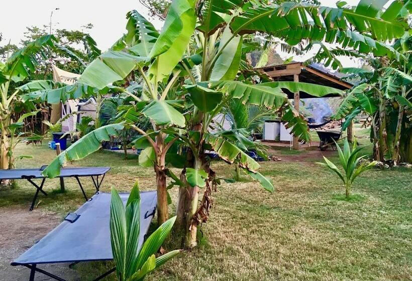 کلبه دلوکس, Camp Utila Village   Hostel