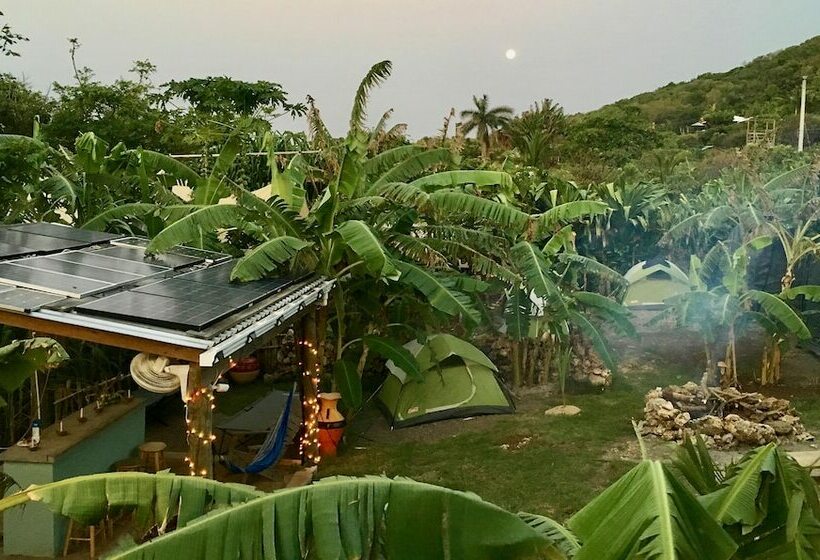 کلبه دلوکس, Camp Utila Village   Hostel