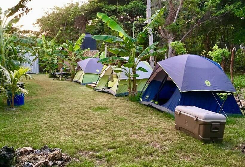 هزینۀ خدمات رفاهی بیشتر, Camp Utila Village   Hostel