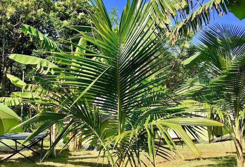 کلبه دلوکس, Camp Utila Village   Hostel