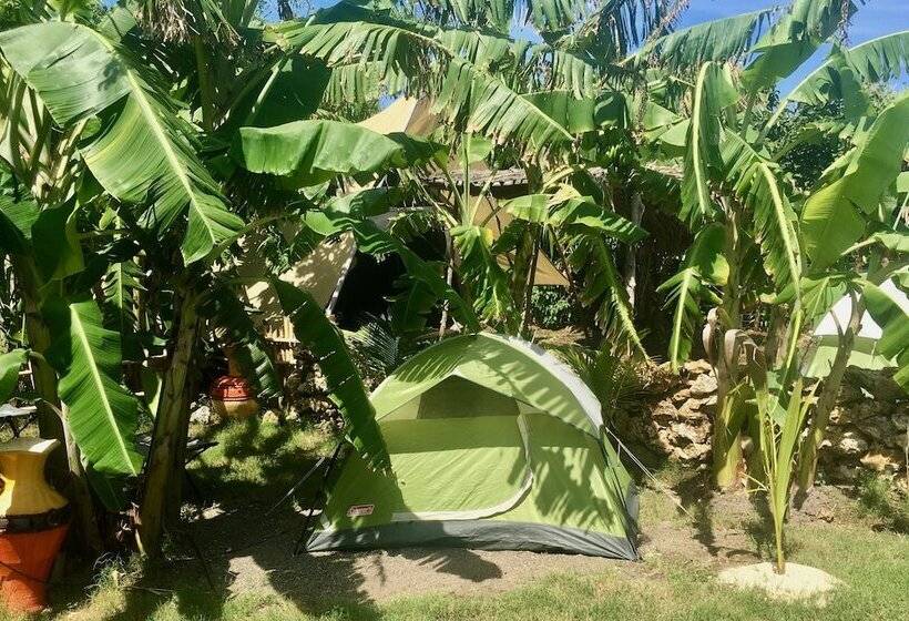 Comfort Tent, Camp Utila Village   Hostel