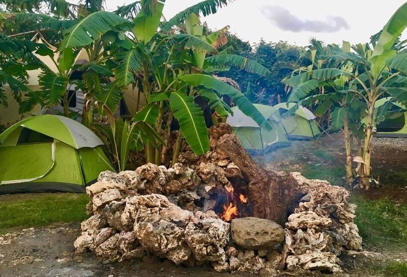 Comfort Tent, Camp Utila Village   Hostel
