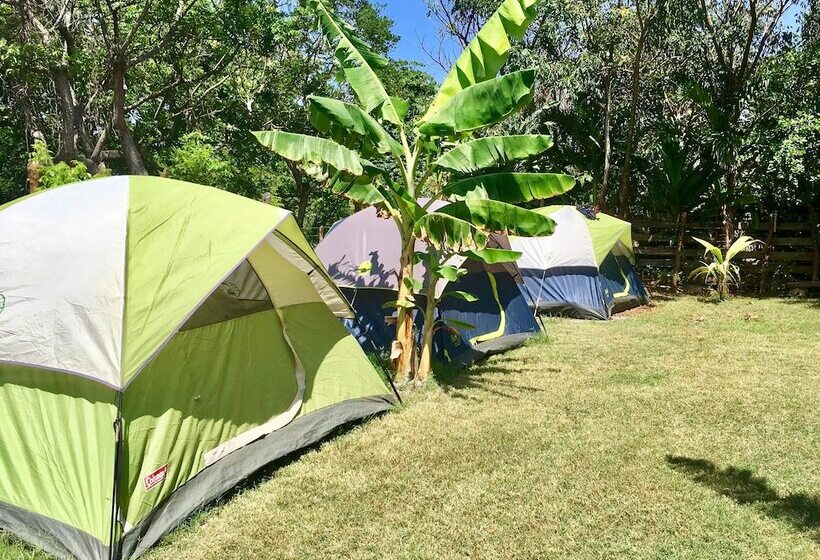 هزینۀ خدمات رفاهی بیشتر, Camp Utila Village   Hostel