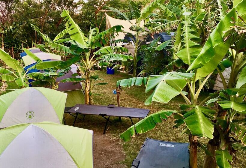 هزینۀ خدمات رفاهی بیشتر, Camp Utila Village   Hostel