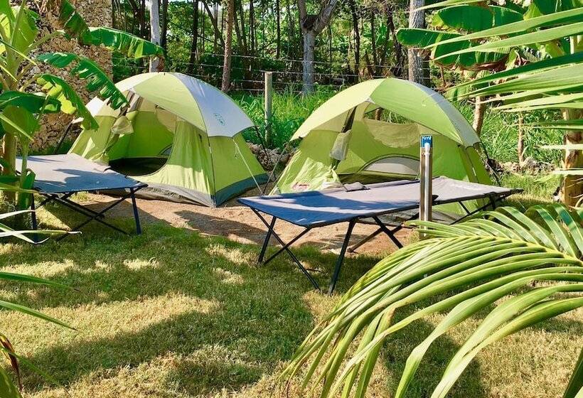 Comfort Tent, Camp Utila Village   Hostel