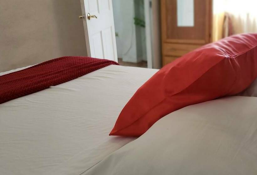 استودیوی استاندارد با تخت دوبل, Tranquil Guest House