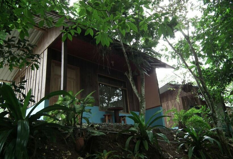 스탠다드 룸 더블 침대, Valle Azul