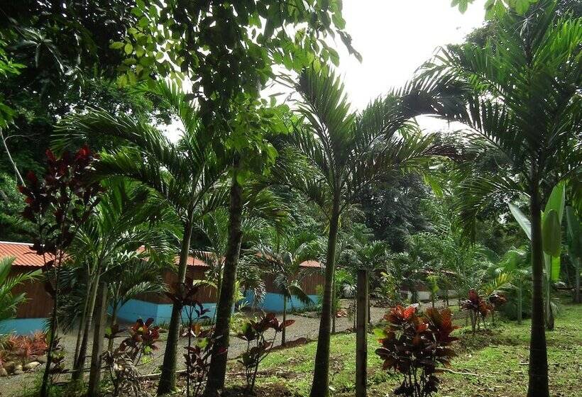 스탠다드 룸 더블 침대, Valle Azul