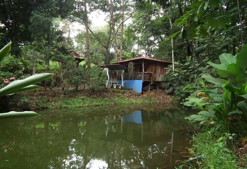 스탠다드 트리플 룸, Valle Azul