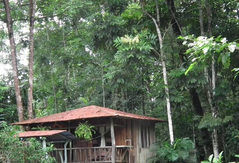 스탠다드 트리플 룸, Valle Azul