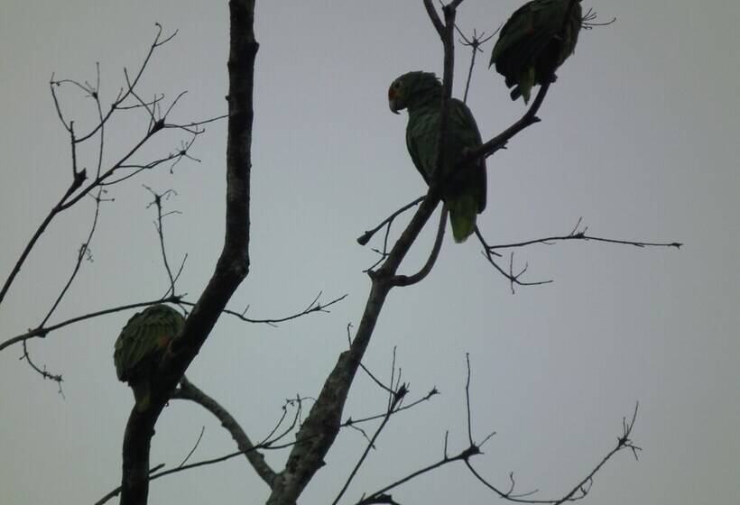스탠다드 트리플 룸, Valle Azul